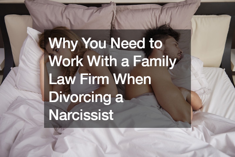 Why You Need to Work With a Family Law Firm When Divorcing a Narcissist